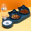 Bol 3-en-1 pour chat — Incliné, distributeur d’eau gravitationnel, protection cervicale