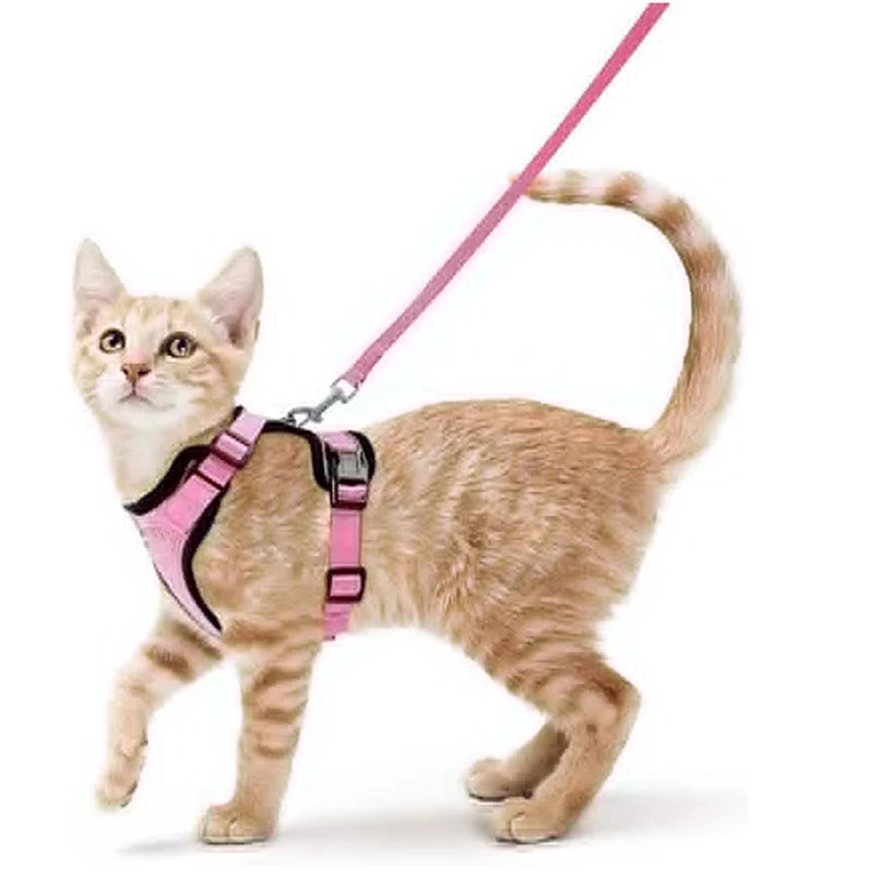 Harnais et Laisse pour Chat — Ajustable, Sécuritaire, Confortable pour les Promenades