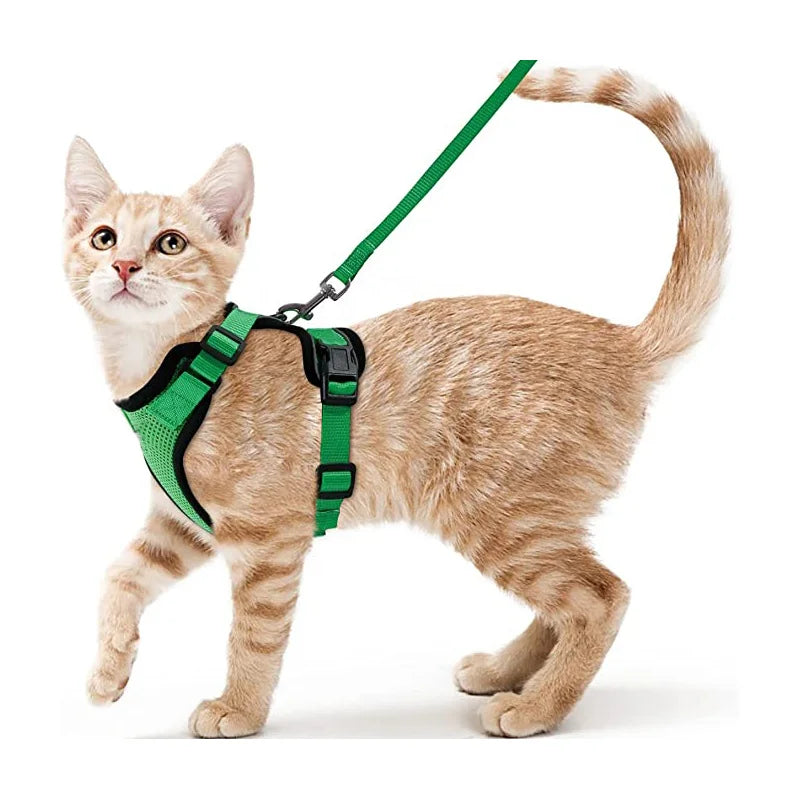 Harnais et Laisse pour Chat — Ajustable, Sécuritaire, Confortable pour les Promenades