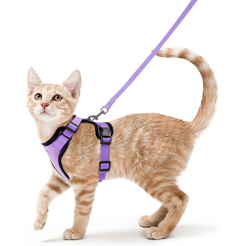 Harnais et Laisse pour Chat — Ajustable, Sécuritaire, Confortable pour les Promenades