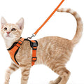 Harnais et Laisse pour Chat — Ajustable, Sécuritaire, Confortable pour les Promenades
