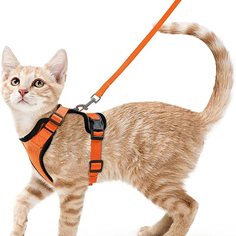 Harnais et Laisse pour Chat — Ajustable, Sécuritaire, Confortable pour les Promenades
