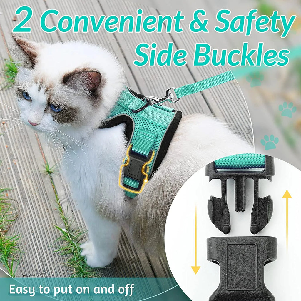 Harnais et Laisse pour Chat — Ajustable, Sécuritaire, Confortable pour les Promenades