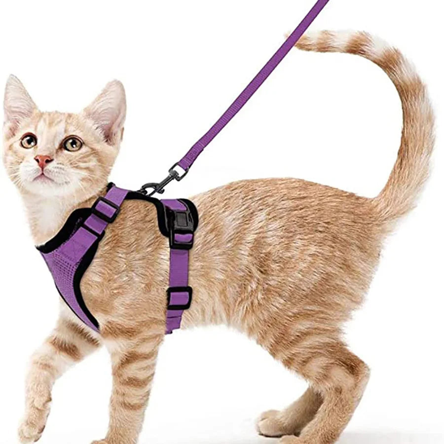 Harnais et Laisse pour Chat — Ajustable, Sécuritaire, Confortable pour les Promenades