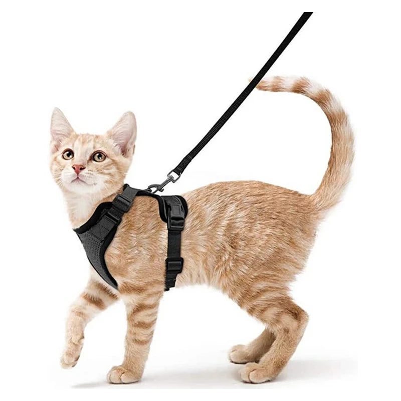 Harnais et Laisse pour Chat — Ajustable, Sécuritaire, Confortable pour les Promenades