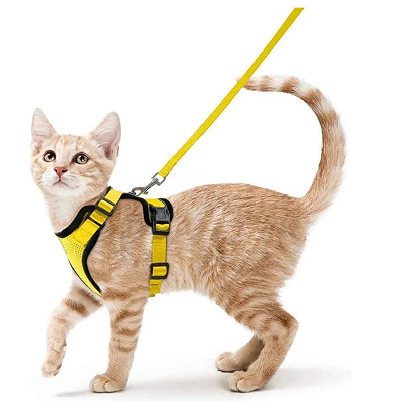 Harnais et Laisse pour Chat — Ajustable, Sécuritaire, Confortable pour les Promenades